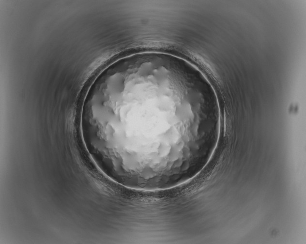 X0000091210483200708161546