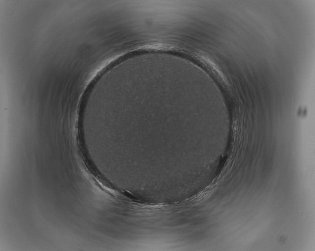 X0000091210484200708161546