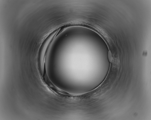 X0000091210485200708161546