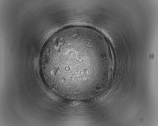 X0000091210487200708161546