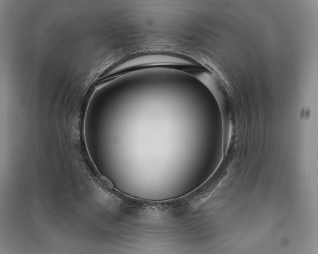 X0000091210489200708161546