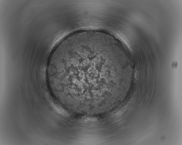X0000091210491200708161546