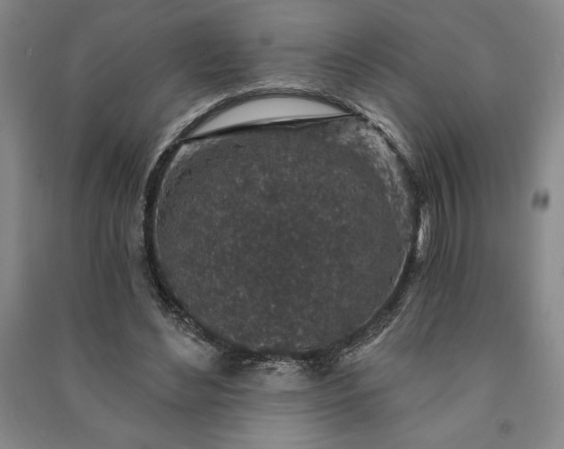 X0000091210492200708161546