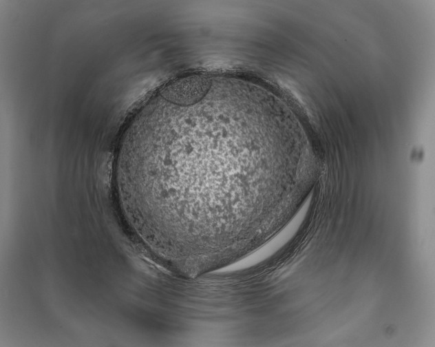 X0000091210495200708161546