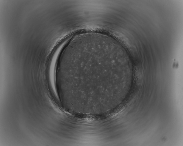 X0000091210496200708161546
