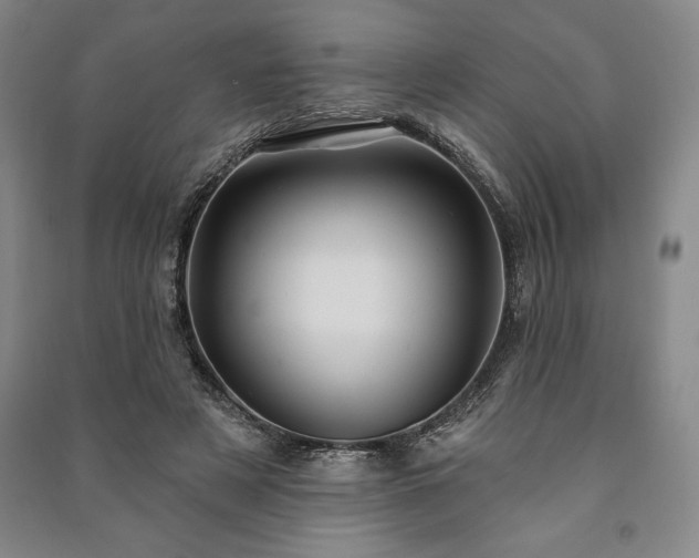 X0000091210497200708161546
