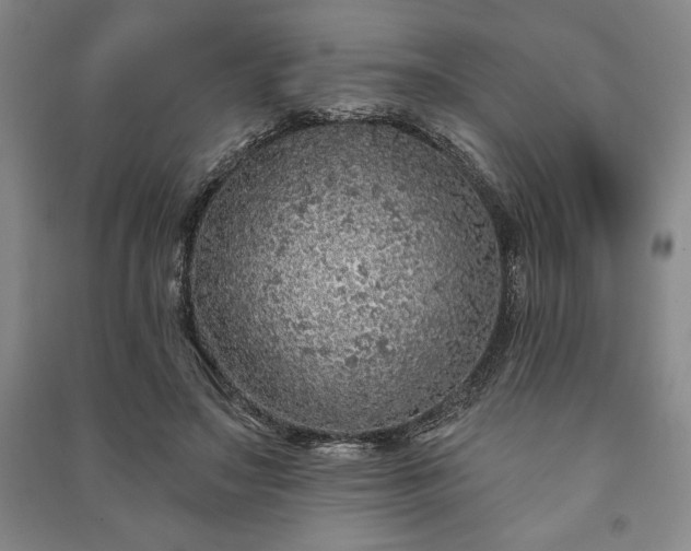 X0000091210499200708161546