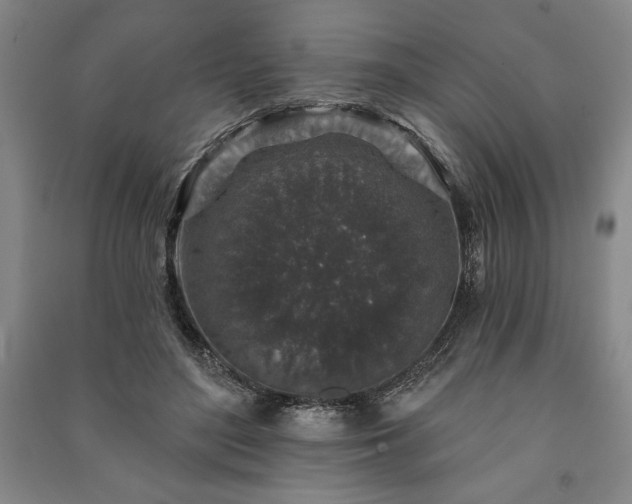 X0000091210500200708161546