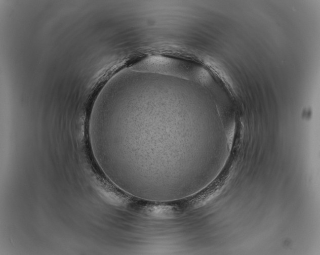 X0000091210501200708161546