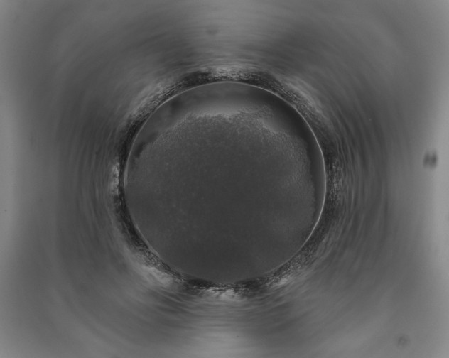 X0000091210502200708161546