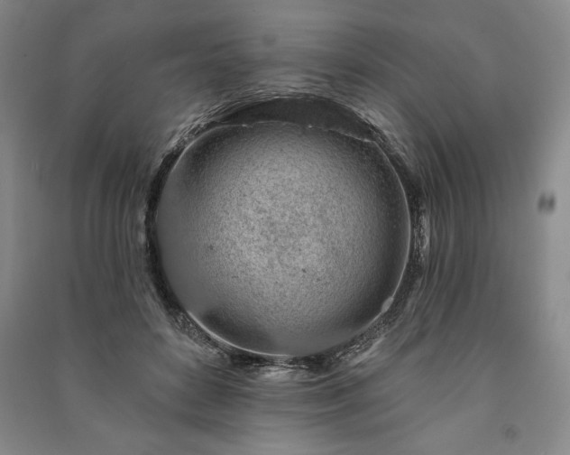 X0000091210504200708161546