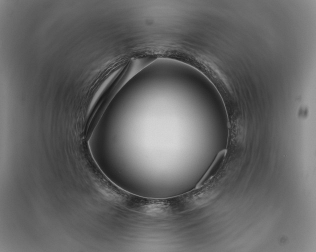 X0000091210505200708161546