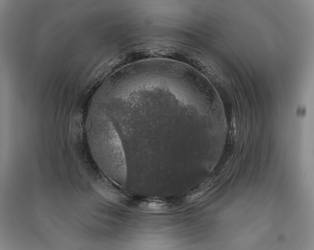 X0000091210506200708161546