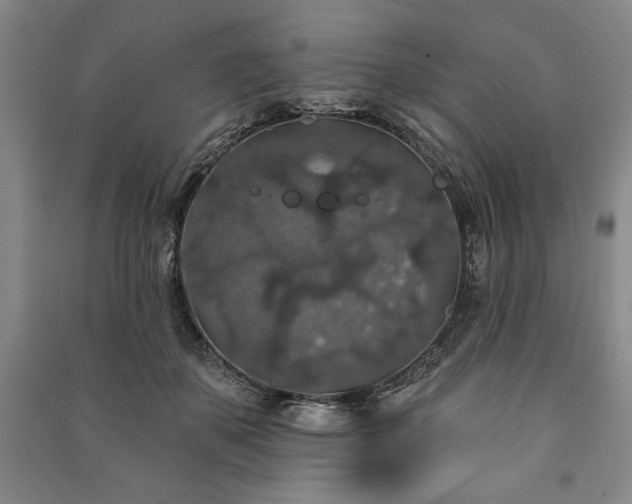 X0000091210507200708161546