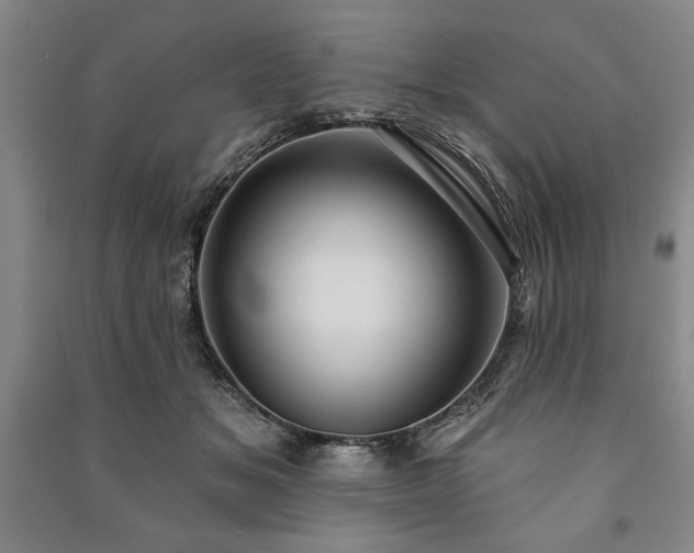 X0000091210509200708161546