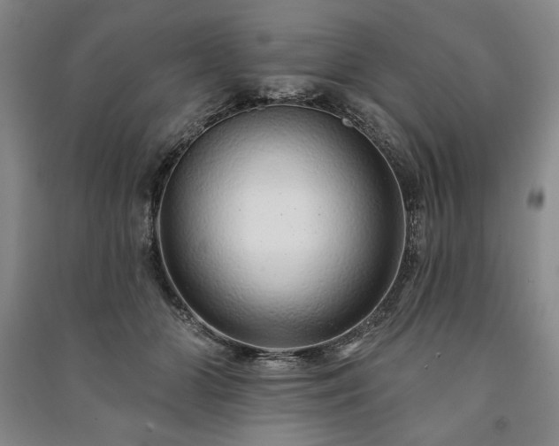 X0000091210510200708161546