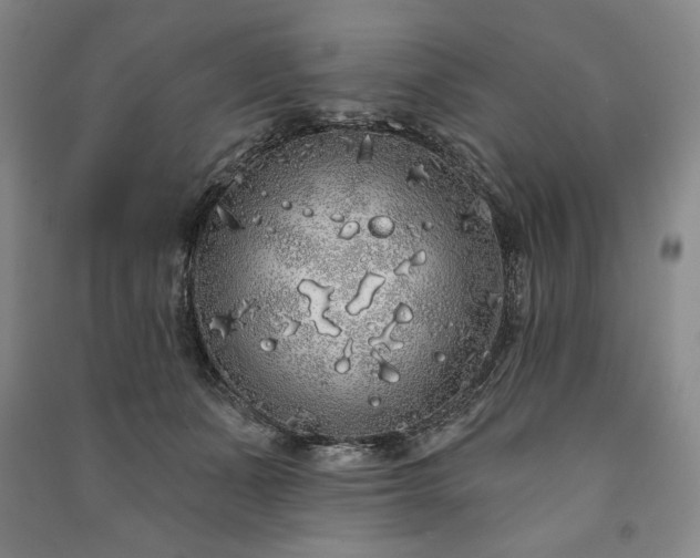 X0000091210511200708161546