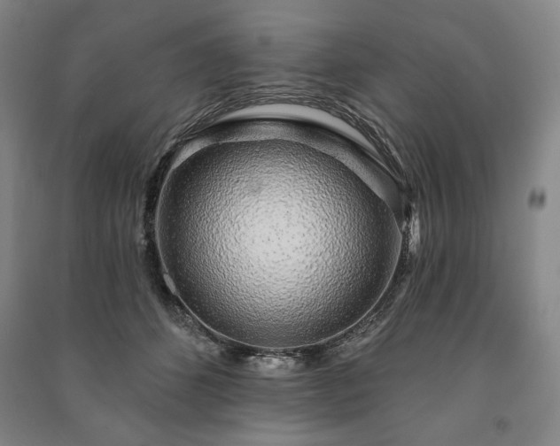 X0000091210512200708161546