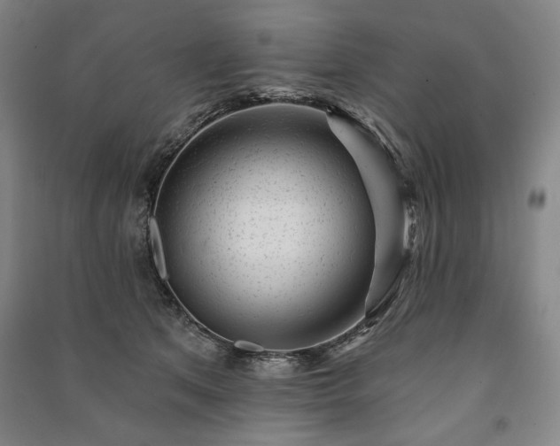 X0000091210513200708161546