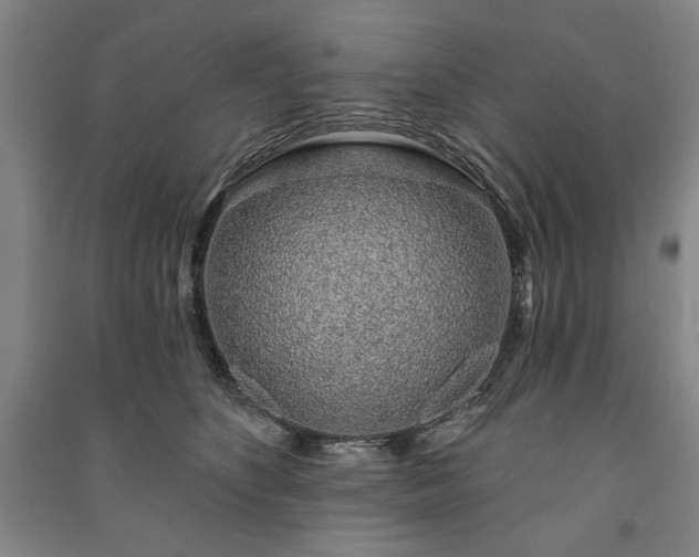 X0000091210516200708161546