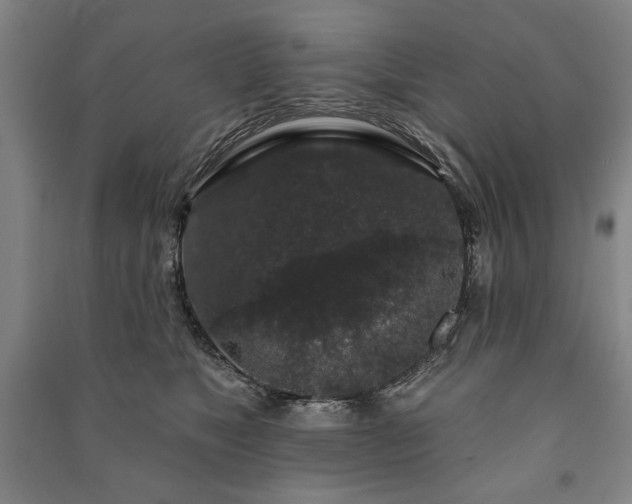 X0000091210517200708161546