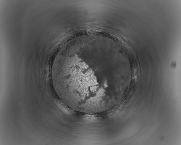 X0000091210519200708161545