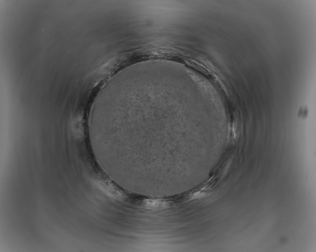 X0000091210520200708161545