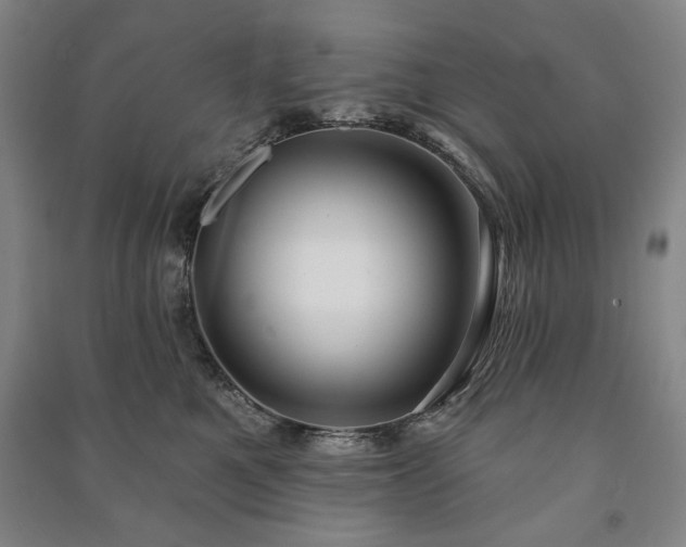 X0000091210521200708161545