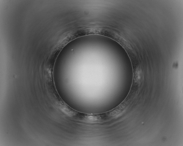 X0000091210522200708161545