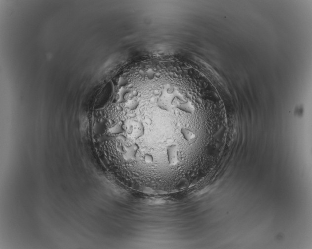 X0000091210523200708161545