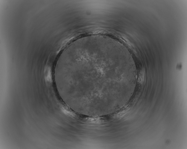 X0000091210524200708161545