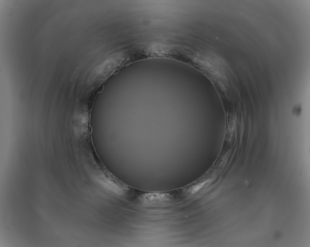 X0000091210526200708161545