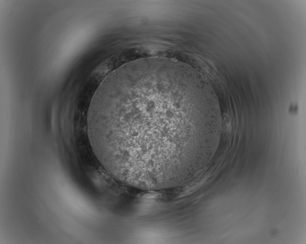 X0000091210527200708161545