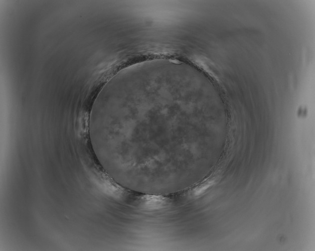 X0000091210528200708161545
