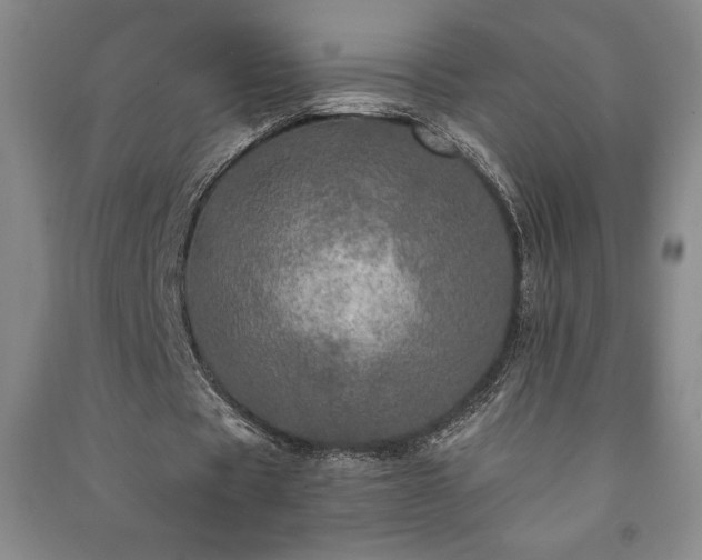 X0000091210529200708161545