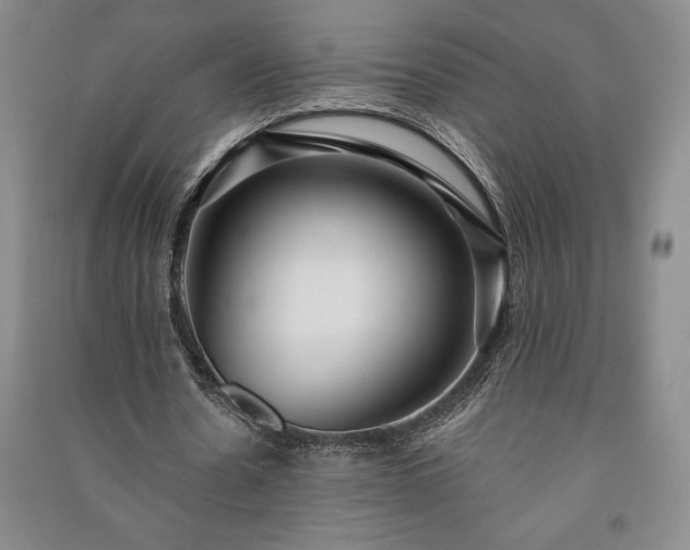 X0000091210530200708161545