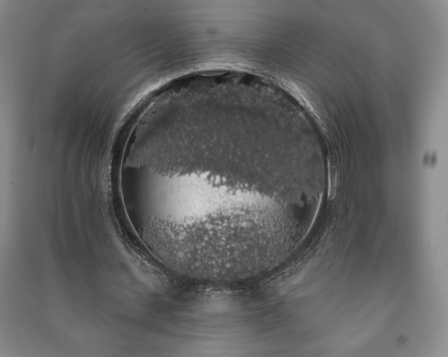 X0000091210531200708161545
