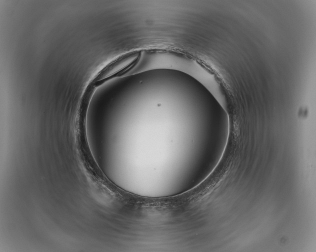 X0000091210532200708161545