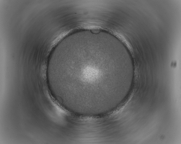 X0000091210533200708161545