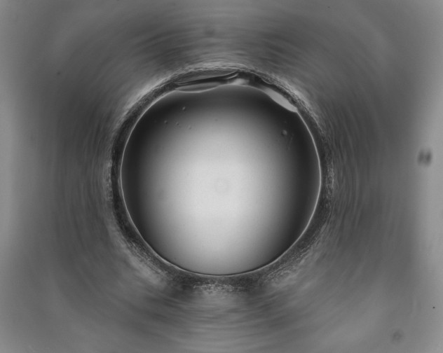 X0000091210535200708161545