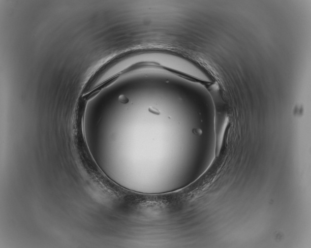 X0000091210536200708161545