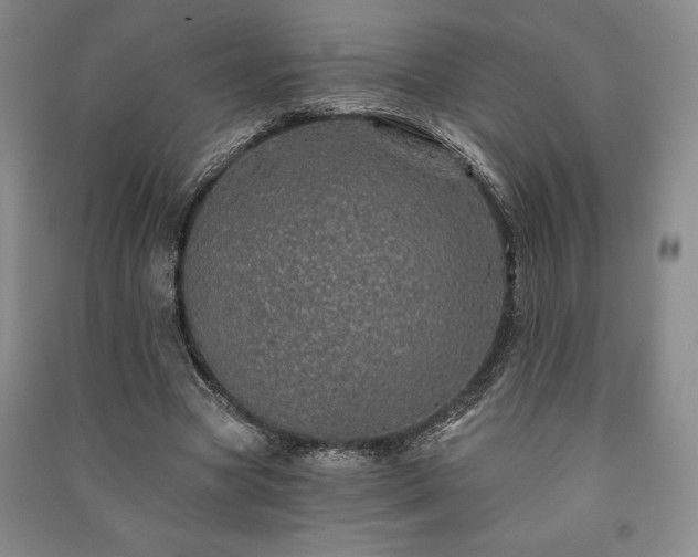 X0000091210537200708161545