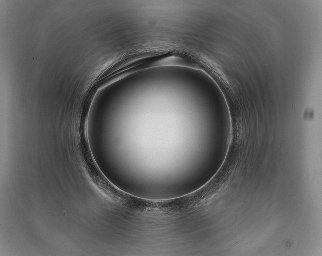 X0000091210538200708161545