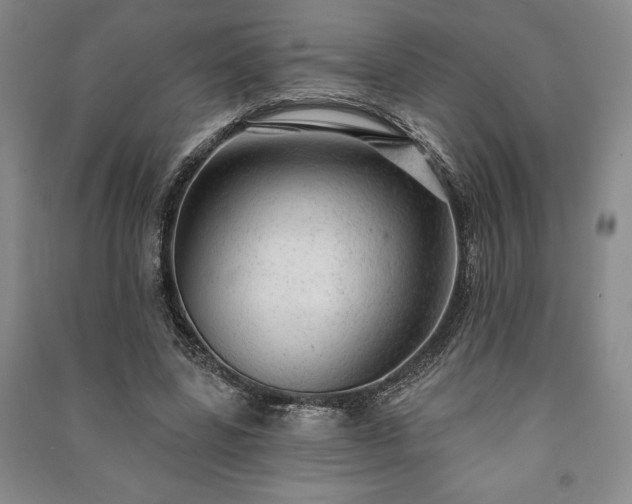 X0000091210539200708161545