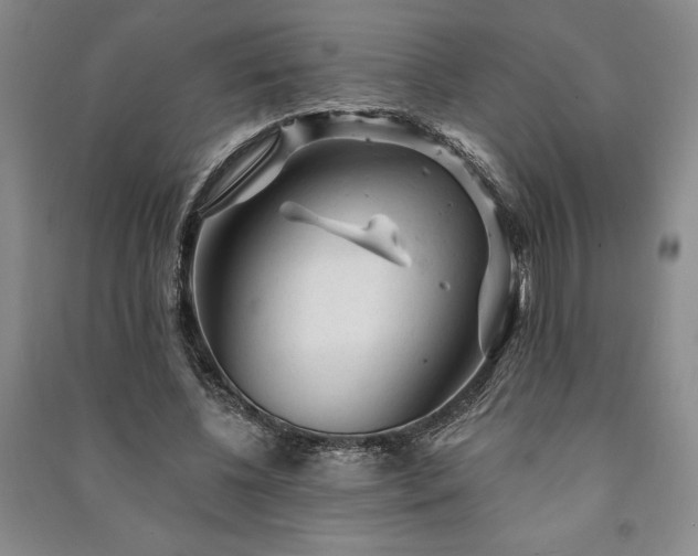 X0000091210540200708161545