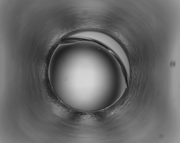 X0000091210544200708161545