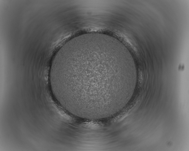 X0000091210545200708161545