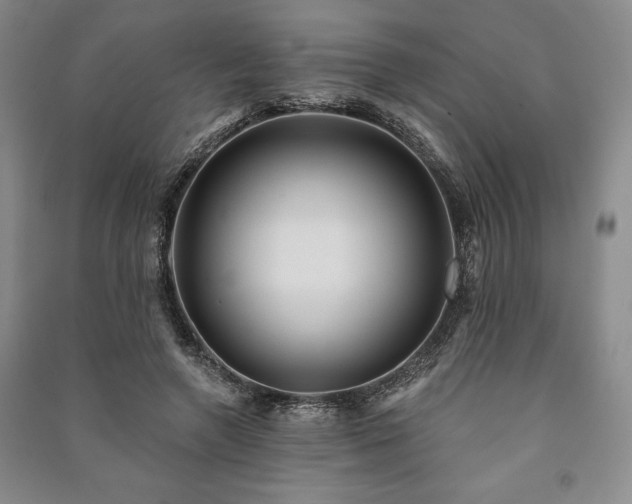 X0000091210546200708161545