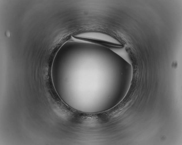 X0000091210548200708161545