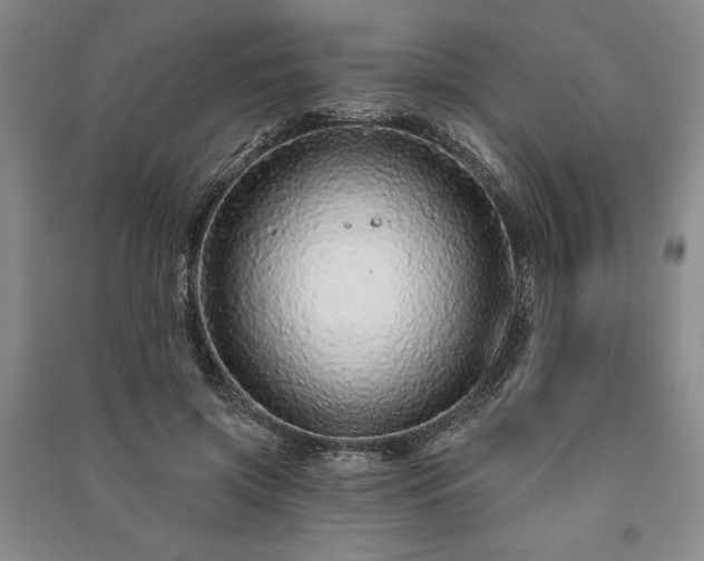 X0000091210549200708161545